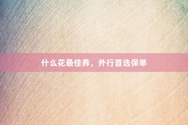 什么花最佳养,外行首选保举